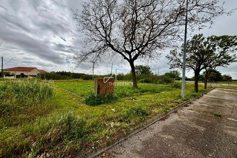 Helårsgrund i Benavente, Santarem, Benavente - € 179.000 | Ref: TAPT01-1265_IS_SAC - foto 6