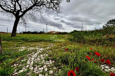 Helårsgrund i Benavente, Santarem, Benavente - € 179.000 | Ref: TAPT01-1265_IS_SAC - foto 7