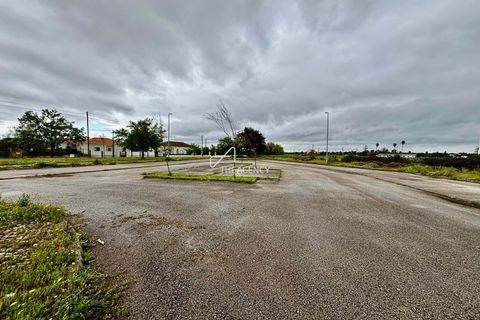 Helårsgrund i Benavente, Santarem, Benavente - € 179.000 | Ref: TAPT01-1265_IS_SAC - foto 8