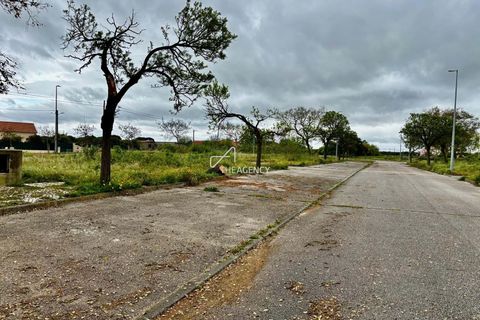 Helårsgrund i Benavente, Santarem, Benavente - € 179.000 | Ref: TAPT01-1265_IS_SAC - foto 12