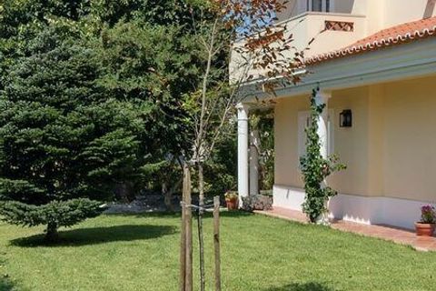 Byhus i Tomar, Santarem, Tomar - € 470.000 | Ref: 849553 - foto 9