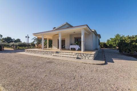 Villa i Elche, Alicante, Elche - € 425.000 | Ref: MM05566/7663 - foto 8