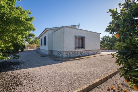 Villa i Elche, Alicante, Elche - € 425.000 | Ref: MM05566/7663 - foto 10