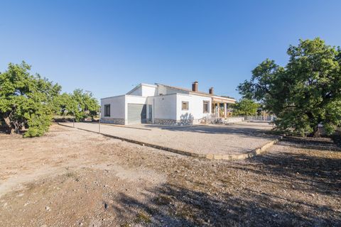 Villa i Elche, Alicante, Elche - € 425.000 | Ref: MM05566/7663 - foto 11