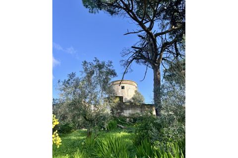 Farm i Evora, Evora, Evora - € 1.250.000 | Ref: JG2448 - foto 1