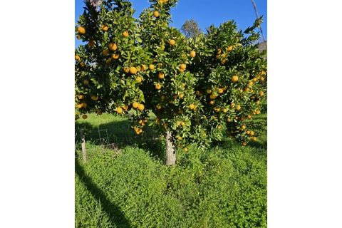 Farm i Evora, Evora, Evora - € 1.250.000 | Ref: JG2448 - foto 5