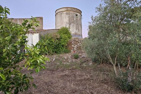 Farm i Evora, Evora, Evora - € 1.250.000 | Ref: JG2448 - foto 6