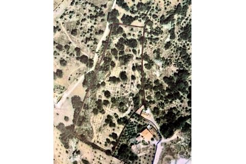 Farm i Evora, Evora, Evora - € 1.250.000 | Ref: JG2448 - foto 13