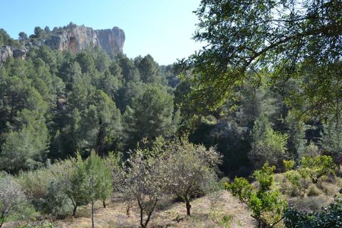Helårsgrund i Benimantell, Alicante, Benimantell - € 109.000 | Ref: 6449 - foto 3