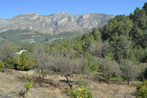 Helårsgrund i Benimantell, Alicante, Benimantell - € 109.000 | Ref: 6449 - foto 5