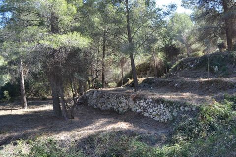 Helårsgrund i Benimantell, Alicante, Benimantell - € 109.000 | Ref: 6449 - foto 6