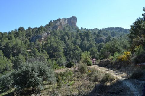 Helårsgrund i Benimantell, Alicante, Benimantell - € 109.000 | Ref: 6449 - foto 7