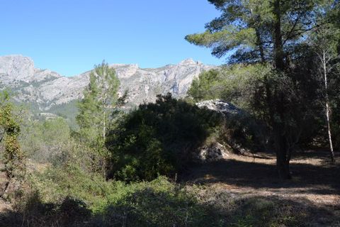 Helårsgrund i Benimantell, Alicante, Benimantell - € 109.000 | Ref: 6449 - foto 8
