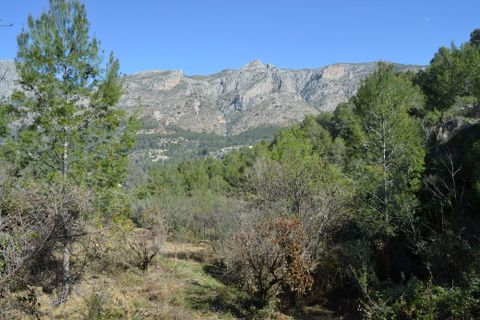 Helårsgrund i Benimantell, Alicante, Benimantell - € 109.000 | Ref: 6449 - foto 10
