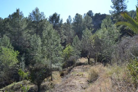 Helårsgrund i Benimantell, Alicante, Benimantell - € 109.000 | Ref: 6449 - foto 11