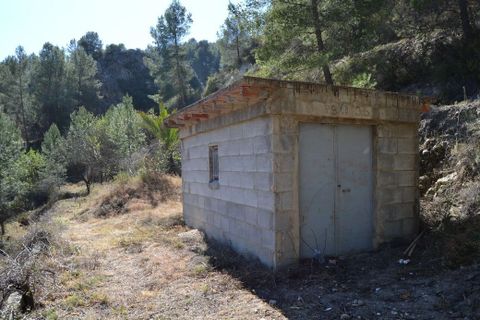 Helårsgrund i Benimantell, Alicante, Benimantell - € 109.000 | Ref: 6449 - foto 12