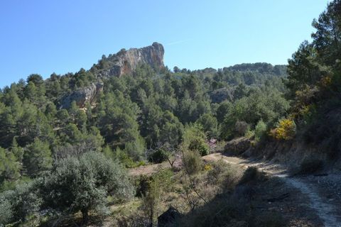 Helårsgrund i Benimantell, Alicante, Benimantell - € 109.000 | Ref: 6449 - foto 13