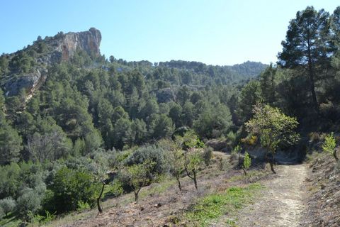 Helårsgrund i Benimantell, Alicante, Benimantell - € 109.000 | Ref: 6449 - foto 14