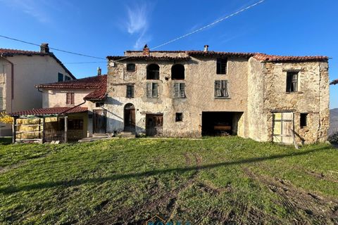Landejendom i Camerana, Cuneo, Camerana - € 24.000 | Ref: 39 - foto 29