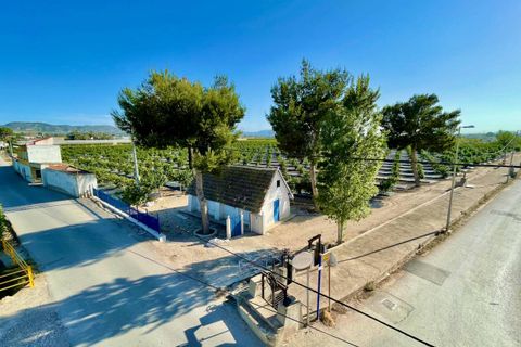 Villa i Orihuela, Alicante, Orihuela - € 170.000 | Ref: SLP2144 - foto 21