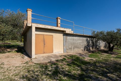 Finca i Roquetes, Tarragona, Roquetes - € 110.000 | Ref: 339 - foto 15