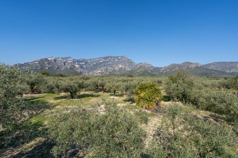 Finca i Roquetes, Tarragona, Roquetes - € 110.000 | Ref: 339 - foto 25