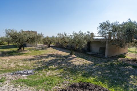 Finca i Roquetes, Tarragona, Roquetes - € 110.000 | Ref: 339 - foto 23