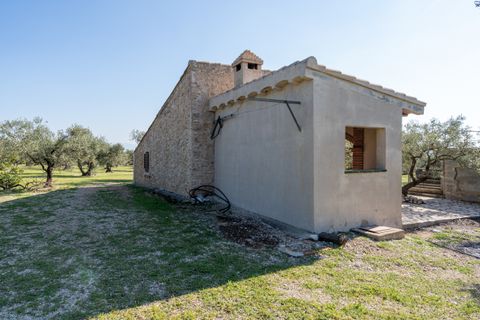 Finca i Roquetes, Tarragona, Roquetes - € 110.000 | Ref: 339 - foto 7