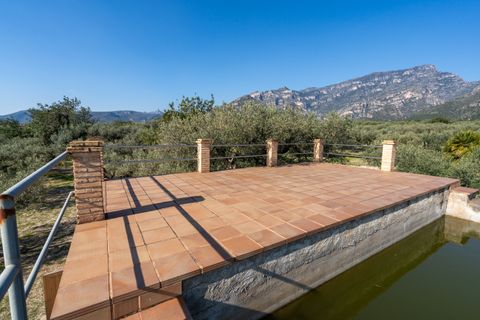 Finca i Roquetes, Tarragona, Roquetes - € 110.000 | Ref: 339 - foto 21
