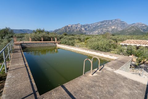 Finca i Roquetes, Tarragona, Roquetes - € 110.000 | Ref: 339 - foto 18