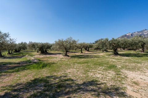 Finca i Roquetes, Tarragona, Roquetes - € 110.000 | Ref: 339 - foto 27