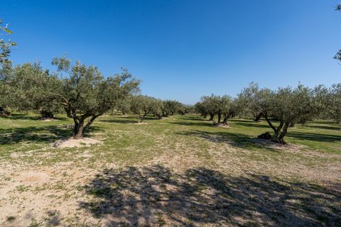 Finca i Roquetes, Tarragona, Roquetes - € 110.000 | Ref: 339 - foto 26