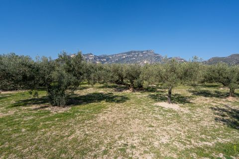Finca i Roquetes, Tarragona, Roquetes - € 110.000 | Ref: 339 - foto 24