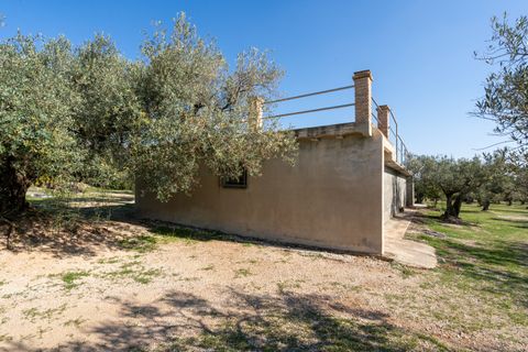 Finca i Roquetes, Tarragona, Roquetes - € 110.000 | Ref: 339 - foto 22