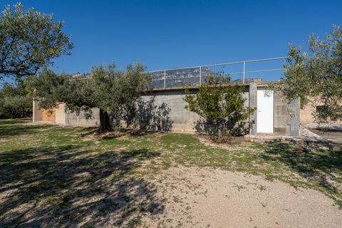 Finca i Roquetes, Tarragona, Roquetes - € 110.000 | Ref: 339 - foto 29