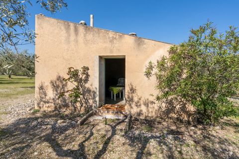 Finca i Roquetes, Tarragona, Roquetes - € 40.000 | Ref: 340 - foto 2