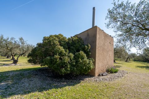 Finca i Roquetes, Tarragona, Roquetes - € 40.000 | Ref: 340 - foto 10