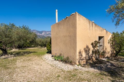 Finca i Roquetes, Tarragona, Roquetes - € 40.000 | Ref: 340 - foto 3