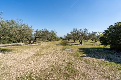 Finca i Roquetes, Tarragona, Roquetes - € 40.000 | Ref: 340 - foto 13