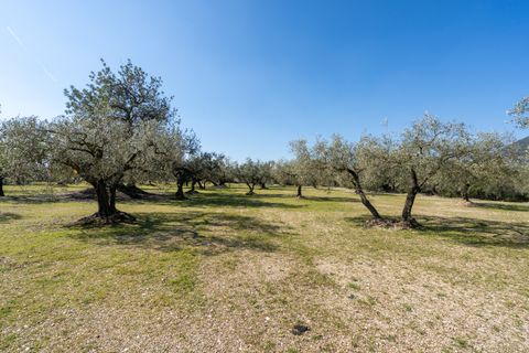 Finca i Roquetes, Tarragona, Roquetes - € 40.000 | Ref: 340 - foto 12