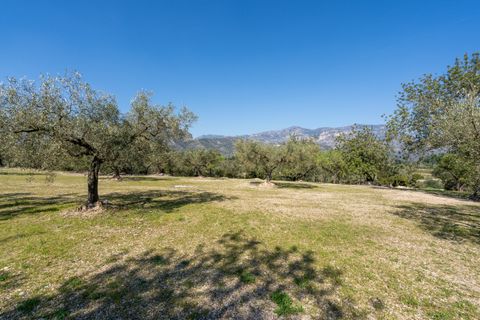 Finca i Roquetes, Tarragona, Roquetes - € 40.000 | Ref: 340 - foto 14