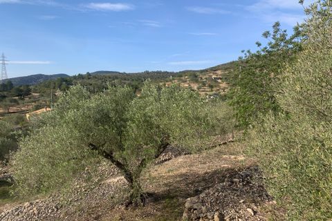 Herregård i El Perello, Tarragona, El Perello - € 497 000 | Ref: Per1415mic - foto 44