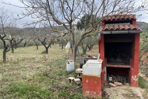 Villa a Ontinyent, Valencia, Ontinyent - € 110.000 | Ref: PNVL3411 - foto 14