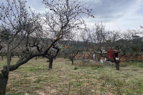 Villa a Ontinyent, Valencia, Ontinyent - € 110.000 | Ref: PNVL3411 - foto 22