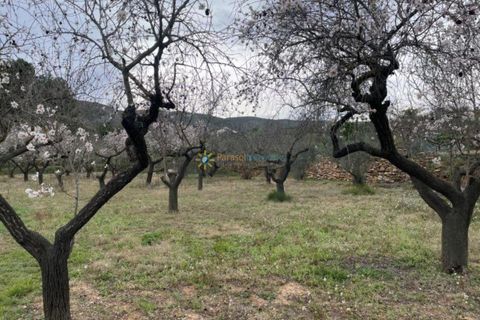 Villa a Ontinyent, Valencia, Ontinyent - € 110.000 | Ref: PNVL3411 - foto 23