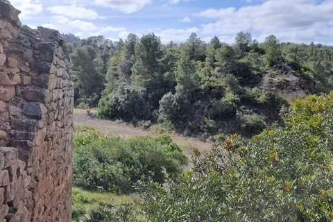 Finca i Caseres, Tarragona, Caseres - € 27 000 | Ref: Riverside Am - foto 10