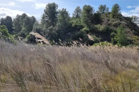 Finca i Caseres, Tarragona, Caseres - € 27 000 | Ref: Riverside Am - foto 7