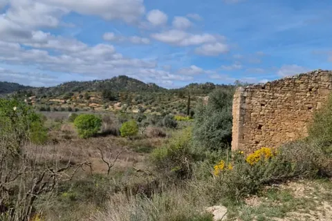 Finca i Caseres, Tarragona, Caseres - € 27 000 | Ref: Riverside Am - foto 15