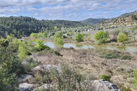 Finca i Caseres, Tarragona, Caseres - € 27 000 | Ref: Riverside Am - foto 12