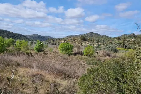 Finca i Caseres, Tarragona, Caseres - € 27 000 | Ref: Riverside Am - foto 8